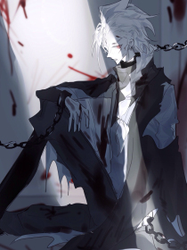 猫咪海外永久入口